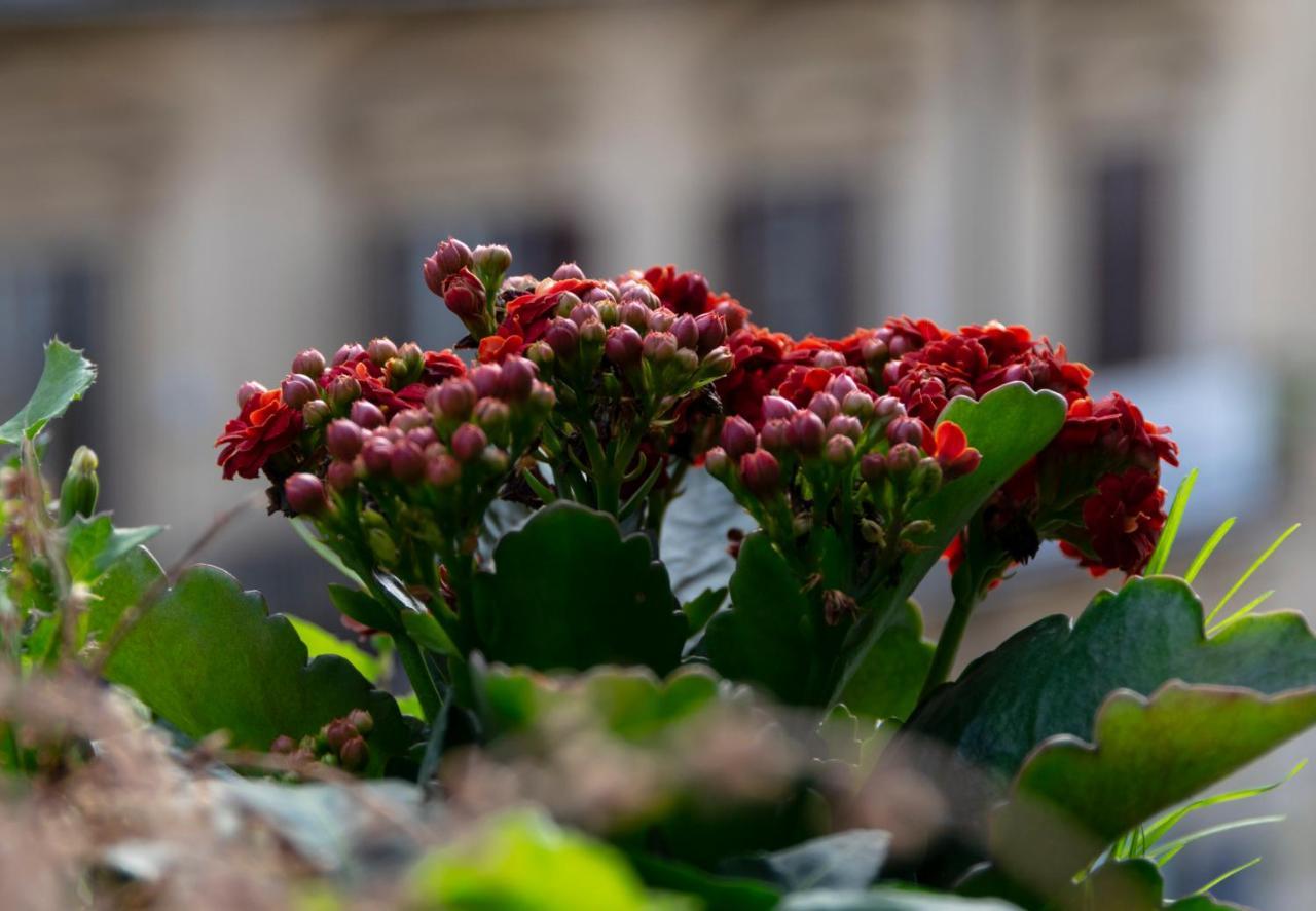 팔레르모 Principe Di Belmonte B&B 외부 사진